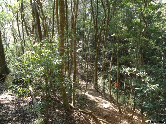 2012-3-18谷關七雄--屋我尾山