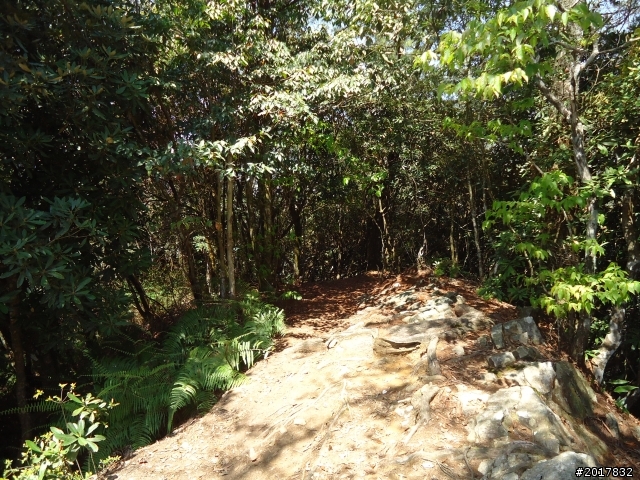 2012-3-18谷關七雄--屋我尾山