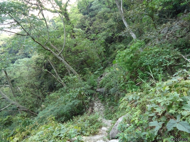 2012-3-18谷關七雄--屋我尾山