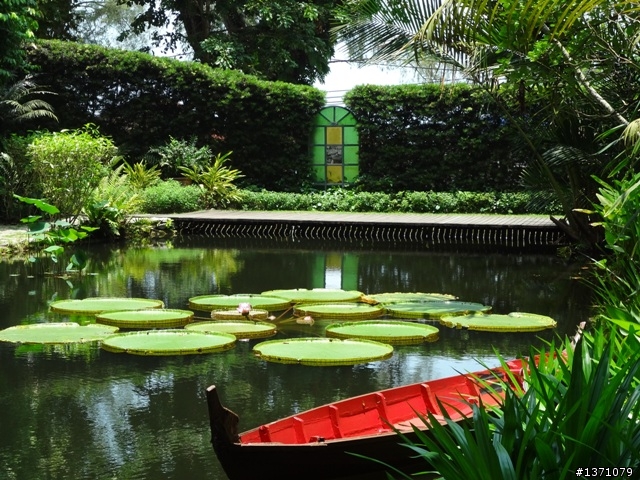 2012 March 馬來西亞 檳城 自助行 Malaysia Penang