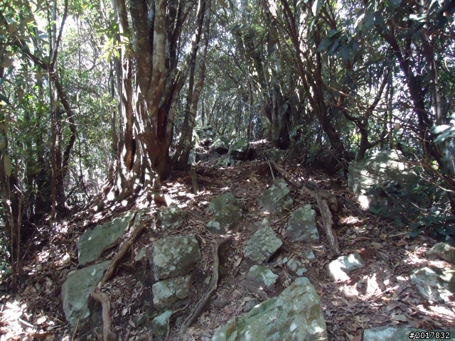 2012-3-18谷關七雄--屋我尾山