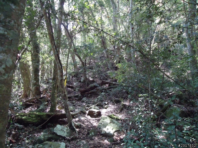 2012-3-18谷關七雄--屋我尾山