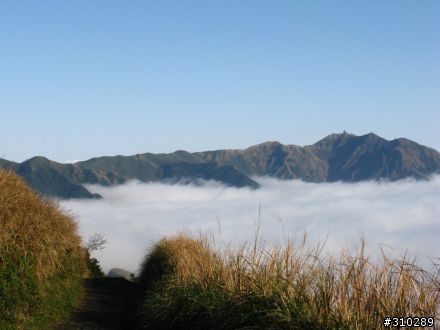 七星山 雲海