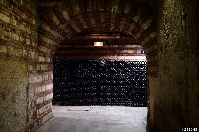 【西西分享】法國DAY5-香檳酒廠 (Moët & Chandon)、Outlet (La Vallée Village)