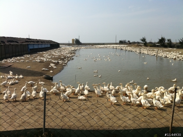 2012/03/01小摺環島第二日
