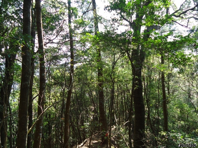 2012-3-18谷關七雄--屋我尾山