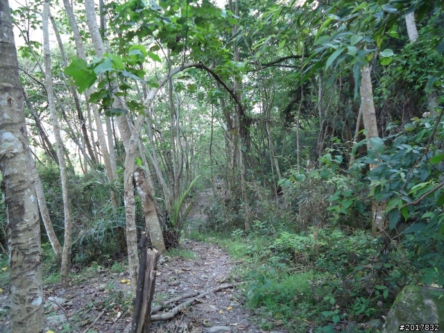 2012-3-18谷關七雄--屋我尾山