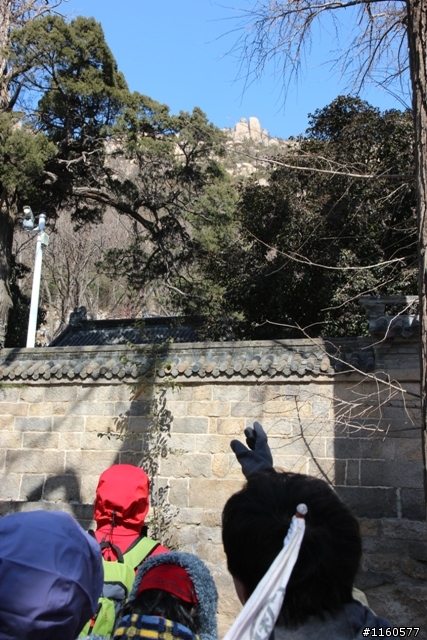 山東青島、煙台、威海黃金海岸五日之旅(第三日)
