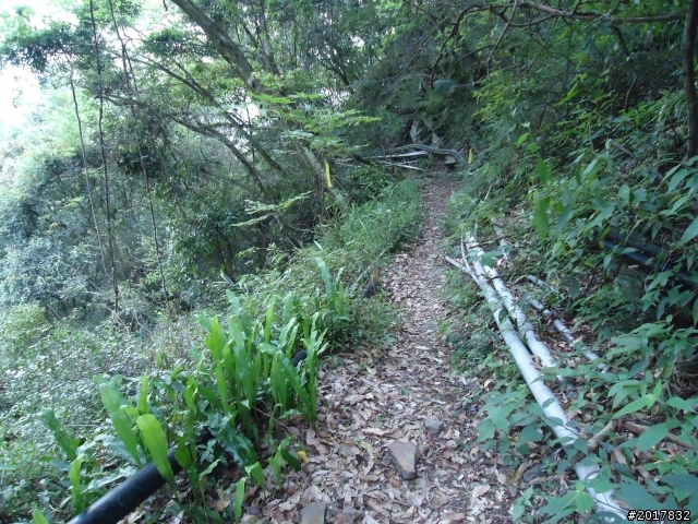 2012-3-18谷關七雄--屋我尾山