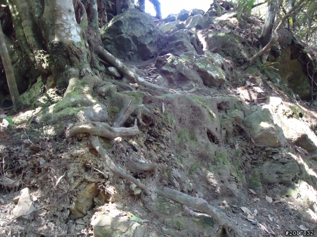 2012-3-18谷關七雄--屋我尾山