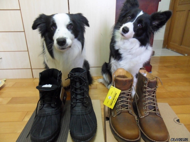 Sorel & Dr. Martens 二雙靴開箱文