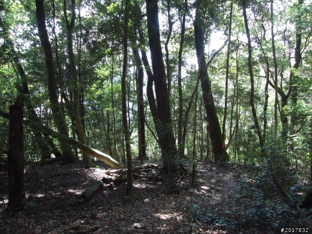 2012-3-18谷關七雄--屋我尾山