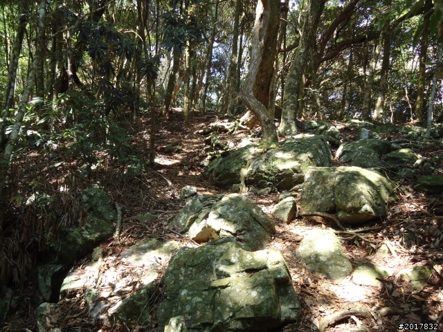 2012-3-18谷關七雄--屋我尾山