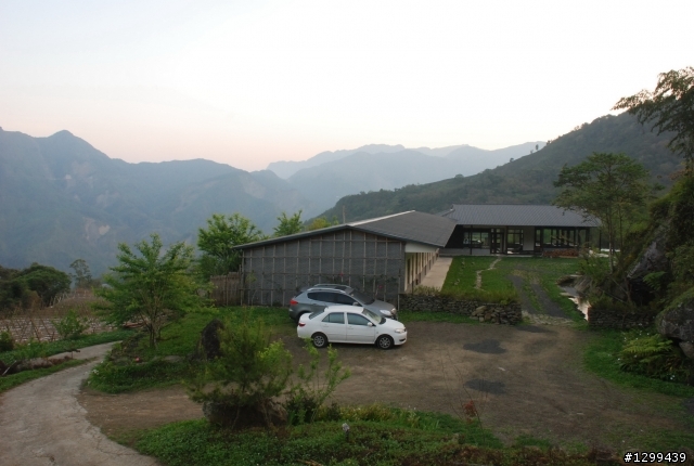 駕著SUV走訪阿里山櫻花季~~