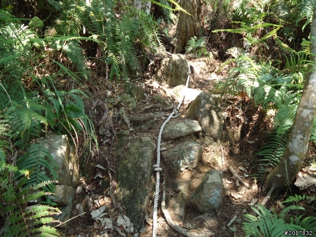 2012-3-18谷關七雄--屋我尾山