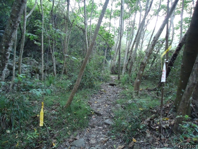 2012-3-18谷關七雄--屋我尾山