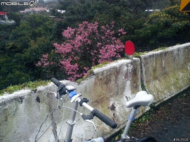 2012.2.27第一次在北部騎車:巴拉卡賞櫻+上助航站