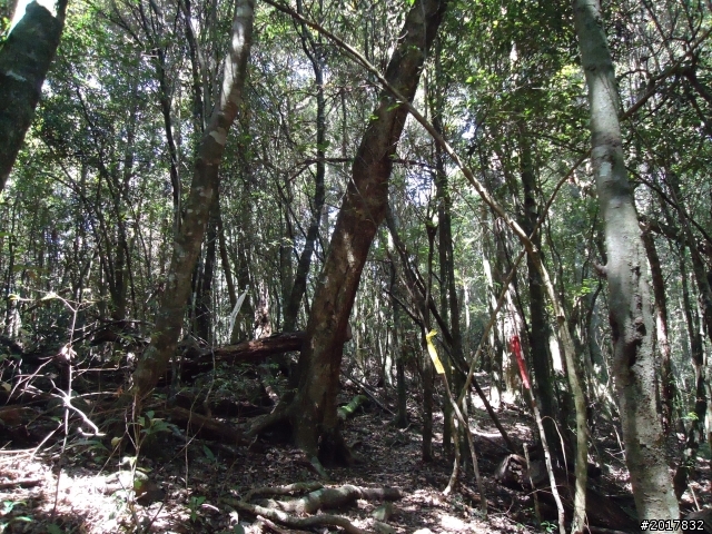 2012-3-18谷關七雄--屋我尾山