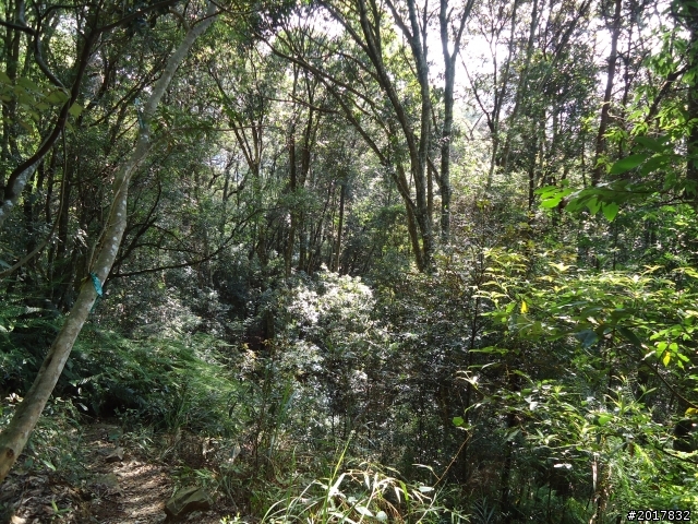 2012-3-18谷關七雄--屋我尾山