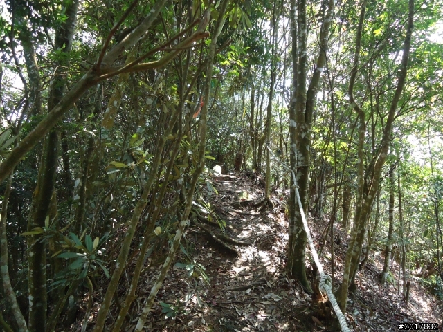 2012-3-18谷關七雄--屋我尾山