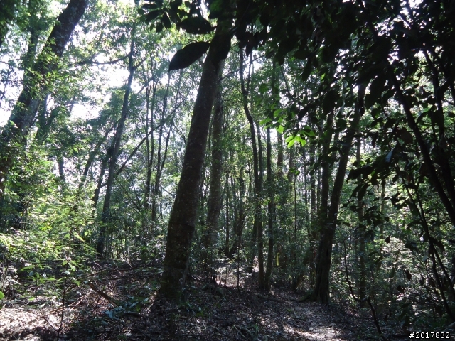 2012-3-18谷關七雄--屋我尾山