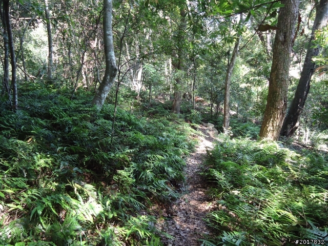 2012-3-18谷關七雄--屋我尾山