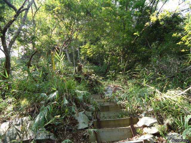 2012-3-18谷關七雄--屋我尾山