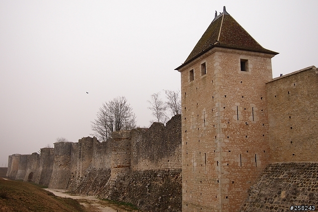 【西西分享】法國DAY4-普羅萬Provins、漢斯Reims