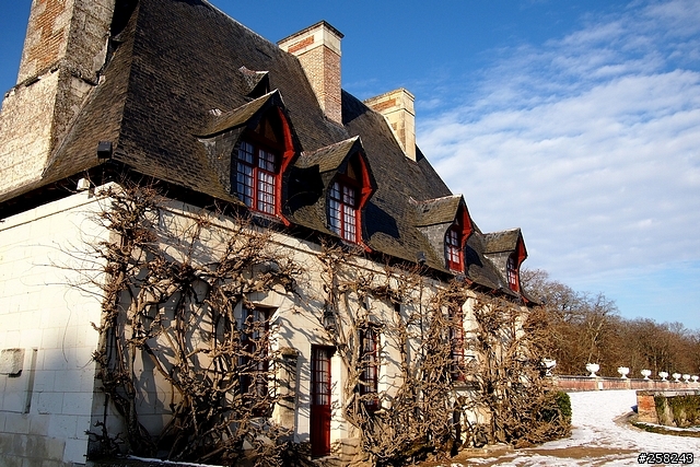 【西西分享】法國DAY3-香波堡Chambord、布洛瓦Blois、雪儂梭堡Chenonceaux