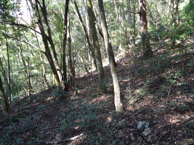 2012-3-18谷關七雄--屋我尾山