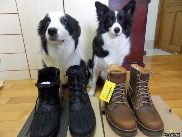 Sorel & Dr. Martens 二雙靴開箱文