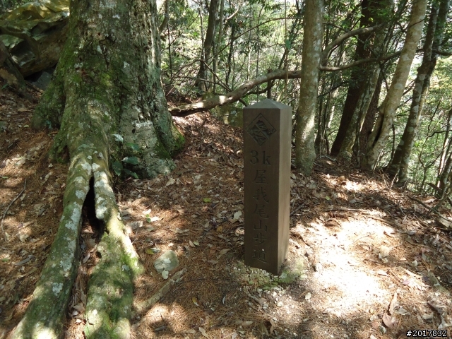 2012-3-18谷關七雄--屋我尾山
