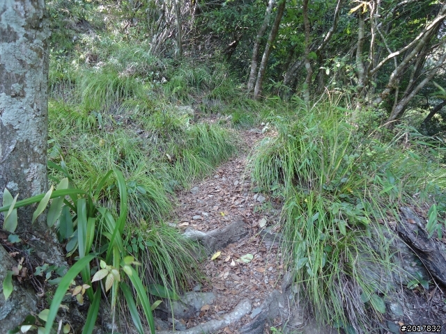 2012-3-18谷關七雄--屋我尾山
