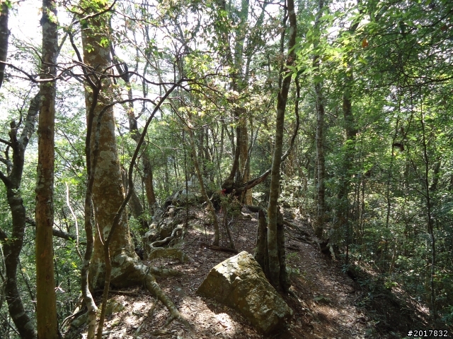 2012-3-18谷關七雄--屋我尾山