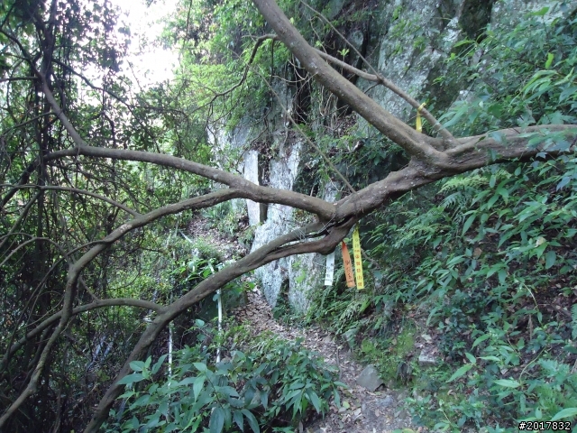 2012-3-18谷關七雄--屋我尾山