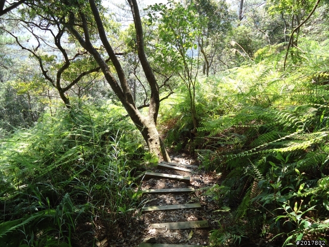 2012-3-18谷關七雄--屋我尾山