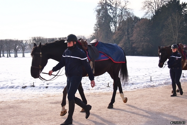 【西西分享】法國DAY3-香波堡Chambord、布洛瓦Blois、雪儂梭堡Chenonceaux