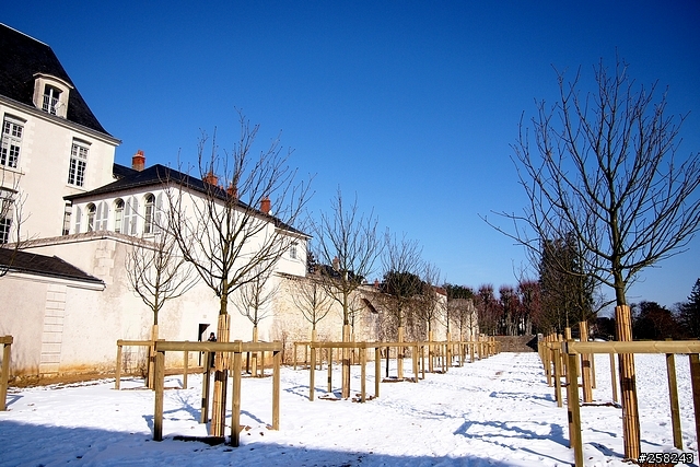 【西西分享】法國DAY3-香波堡Chambord、布洛瓦Blois、雪儂梭堡Chenonceaux