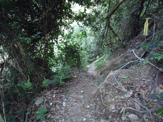 2012-3-18谷關七雄--屋我尾山