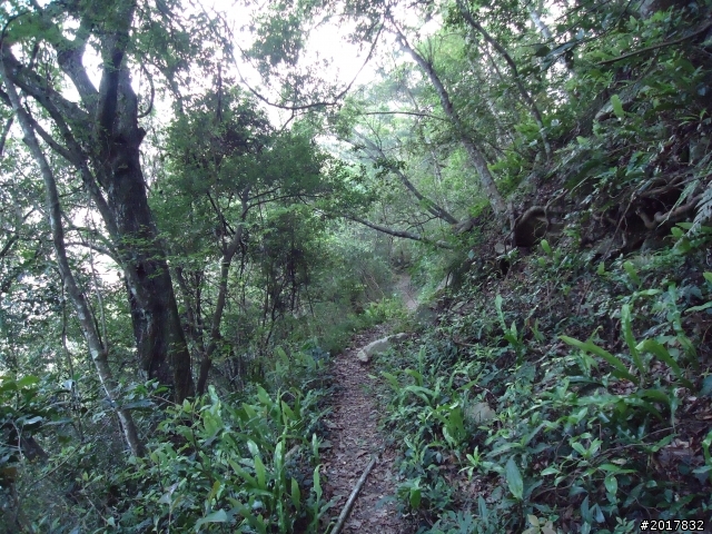 2012-3-18谷關七雄--屋我尾山