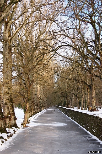 【西西分享】法國DAY3-香波堡Chambord、布洛瓦Blois、雪儂梭堡Chenonceaux