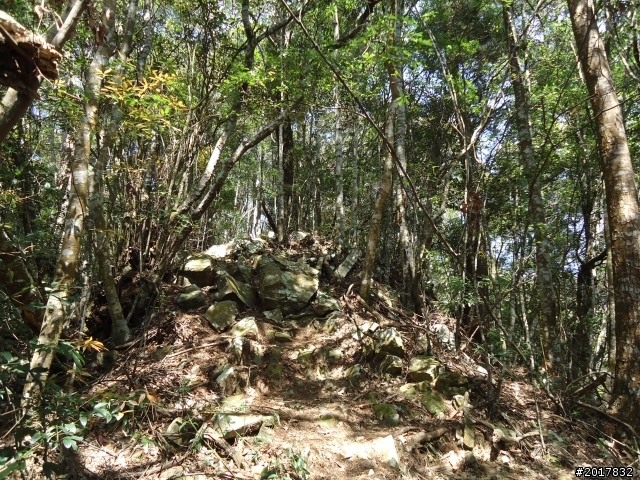 2012-3-18谷關七雄--屋我尾山
