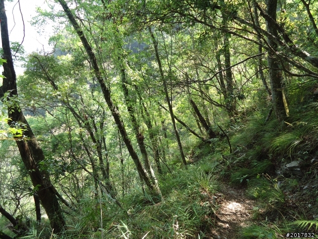 2012-3-18谷關七雄--屋我尾山