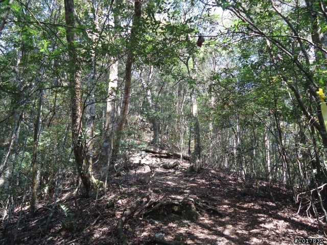 2012-3-18谷關七雄--屋我尾山