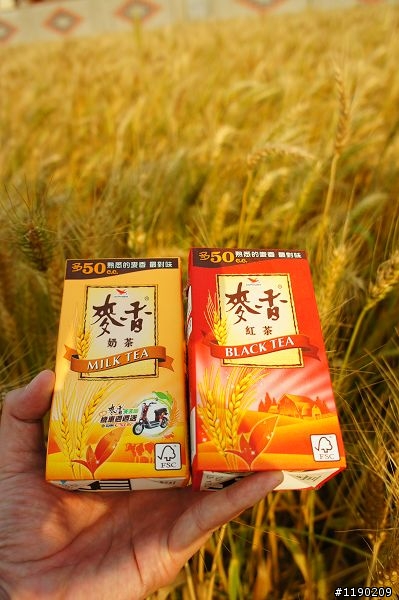 Nex機種-春夏走走旅行-歡迎一起蓋大樓分享景點