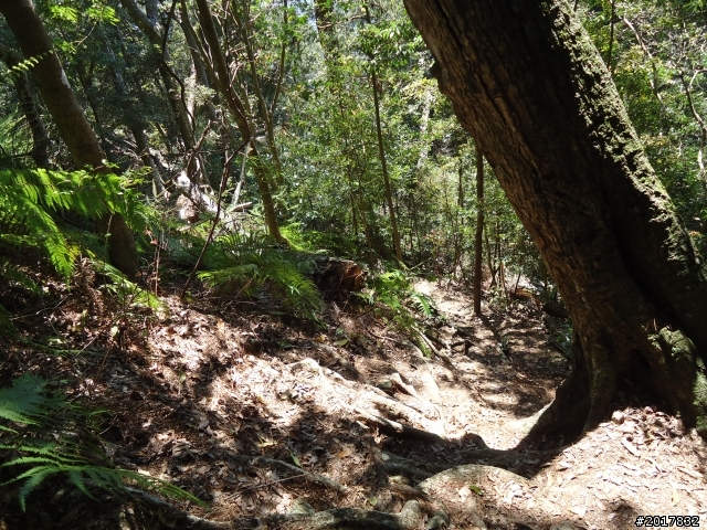 2012-3-18谷關七雄--屋我尾山