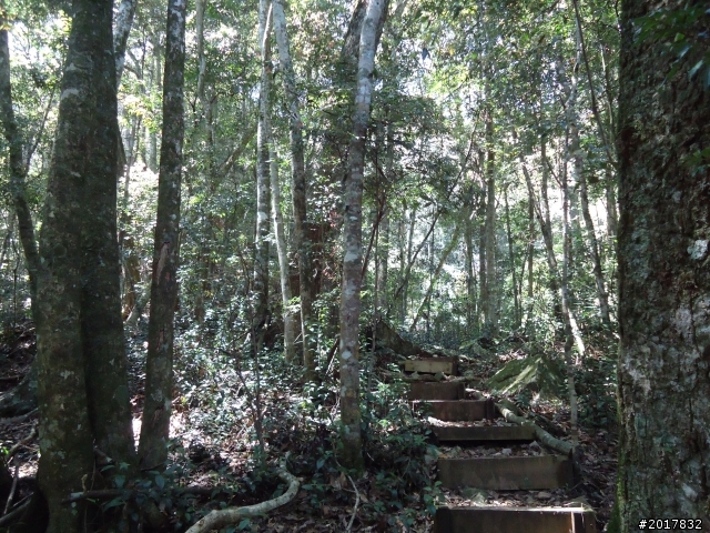 2012-3-18谷關七雄--屋我尾山