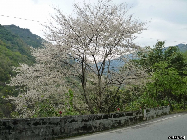 2/29一個不留神到武嶺賞雪
