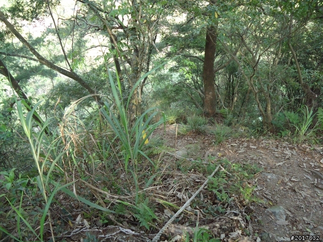 2012-3-18谷關七雄--屋我尾山