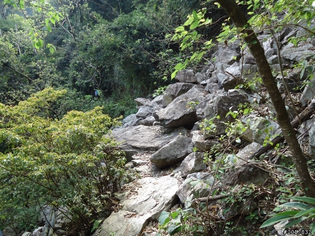 2012-3-18谷關七雄--屋我尾山